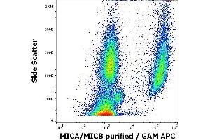 Flow cytometry surface staining pattern of human peripheral whole blood spiked with HeLa cells stained using anti-human MICA/MICB (6D4) purified antibody (concentration in sample 0.