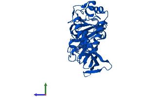 AlphaFold protein structure predicition of Mouse Recombinant Jmjd7 Protein, UniprotID P0C872