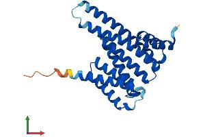 Protein Structure (PS) image for 14-3-3 alpha + beta (YWHAB) (AA 1-246) protein (His tag) (ABIN7560582)