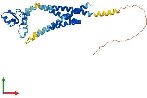 Protein Structure (PS) image for Tetraspanin 12 (TSPAN12) (AA 1-305) protein (His tag) (ABIN7555847)