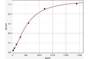 Lysyl Oxidase-Like 2 (LOXL2) ELISA Kit