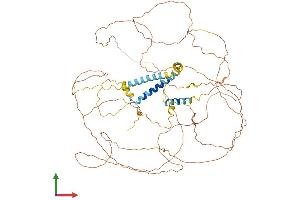 Protein Structure (PS) image for Triadin (TRDN) (AA 1-693) protein (His tag) (ABIN7562139)