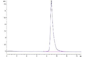 The purity of Biotinylated Human LAIR1 is greater than 95 % as determined by SEC-HPLC.