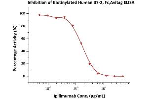 ELISA image for CD86 (CD86) (AA 26-247) (Active) protein (Fc Tag,AVI tag,Biotin) (ABIN3137664)