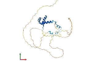 AlphaFold protein structure predicition of Mouse Recombinant En2 Protein, UniprotID P09066 (EN2 Protein (AA 1-324) (His tag))