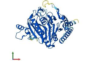 Protein Structure (PS) image for Secernin 3 (SCRN3) (AA 1-418) protein (His tag) (ABIN7557071)