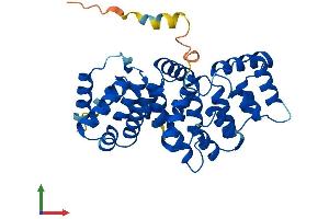 Protein Structure (PS) image for Annexin A9 (ANXA9) (AA 1-345) protein (His tag) (ABIN7552292)