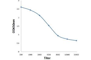 ELISA image for anti-Cell Division Cycle Associated 5 (CDCA5) (AA 101-200) antibody (ABIN872622)
