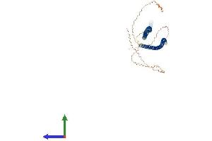 Protein Structure (PS) image for Keratin 71 (KRT71) (AA 1-523) protein (His tag) (ABIN7548680)