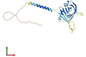 AlphaFold protein structure predicition of Human Recombinant ITM2B Protein, UniprotID Q9Y287