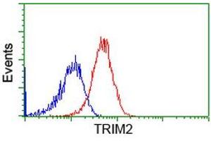 Flow cytometric Analysis of Hela cells, using anti-TRIM2 antibody (ABIN2453850), (Red), compared to a nonspecific negative control antibody, (Blue). (TRIM2 抗体  (AA 1-100, AA 645-744))