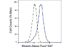 Validation of Moesin knockdown using flow cytometry. (Recombinant Moesin 抗体)