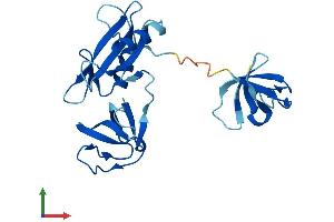 Protein Structure (PS) image for GRB2-Related Adaptor Protein (GRAP) (AA 1-217) protein (His tag) (ABIN7560711)