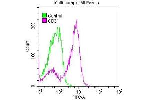 Overlay histogram showing Jurkat cells stained with ABIN7127278 (red line) at 1:50. (Recombinant CD31 抗体)