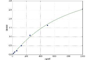 Fibulin 2 (FBLN2) ELISA Kit