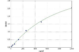 A typical standard curve (FBLN2 ELISA 试剂盒)