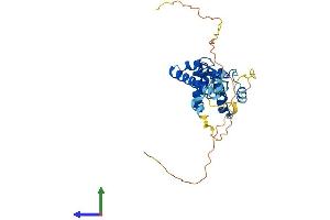 AlphaFold protein structure predicition of Human Recombinant SPATA4 Protein, UniprotID Q8NEY3