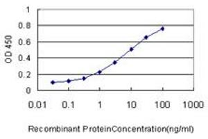 Detection limit for recombinant GST tagged RAB21 is approximately 0. (RAB21 抗体  (AA 116-225))