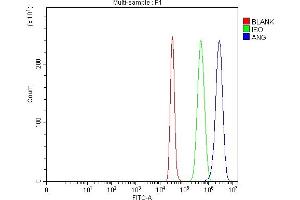 Flow Cytometry analysis of HepG2 cells using anti-Angiogenin/ANG antibody (ABIN4886457). (ANG 抗体  (AA 25-147))