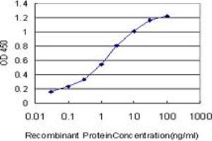 Detection limit for recombinant GST tagged PITX1 is approximately 0. (PITX1 抗体  (AA 225-313))