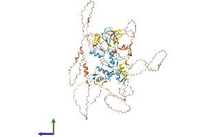 Protein Structure (PS) image for PR Domain Containing 4 (PRDM4) (AA 1-803) protein (His tag) (ABIN7558352)