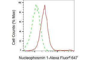 Flow cytometric analysis of Nucleophosmin 1 expression in HeLa cells using Nucleophosmin 1 antibody (ABIN7799671), 1:2,000).