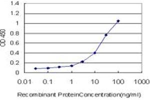 Detection limit for recombinant GST tagged KCTD4 is approximately 0. (KCTD4 抗体  (AA 1-259))