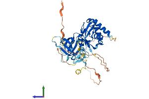 AlphaFold protein structure predicition of Mouse Recombinant Sharpin Protein, UniprotID Q91WA6