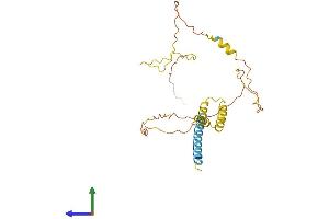 AlphaFold protein structure predicition of Human Recombinant SYNDIG1 Protein, UniprotID Q9H7V2 (SYNDIG1 Protein (AA 1-258) (His tag))