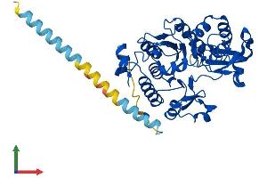 Protein Structure (PS) image for Glucosaminyl (N-Acetyl) Transferase 2, I-Branching Enzyme (I Blood Group) (GCNT2) (AA 1-402) protein (His tag) (ABIN7554033)