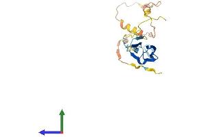 AlphaFold protein structure predicition of Human Recombinant HSPB1 Protein, UniprotID P04792