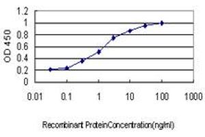 Detection limit for recombinant GST tagged DLX4 is approximately 0. (DLX4 抗体  (AA 1-98))