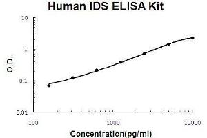 Human IDS PicoKine ELISA Kit standard curve (IDS ELISA 试剂盒)