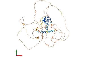Protein Structure (PS) image for Sterile alpha Motif Domain Containing 11 (SAMD11) (AA 1-681) protein (His tag) (ABIN7545906)