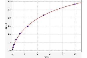 Glucokinase (Hexokinase 4) (GCK) ELISA Kit