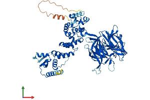Protein Structure (PS) image for Kelch Repeat and BTB (POZ) Domain Containing 5 (KBTBD5) (AA 1-621) protein (His tag) (ABIN7548866)