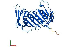 Protein Structure (PS) image for Proliferating Cell Nuclear Antigen (PCNA) (AA 1-261) protein (His tag) (ABIN7554871)