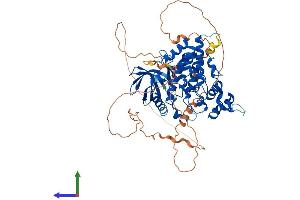 AlphaFold protein structure predicition of Mouse Recombinant Hipk4 Protein, UniprotID Q3V016