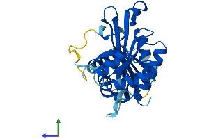 Protein Structure (PS) image for Glutamate-Cysteine Ligase, Modifier Subunit (GCLM) (AA 1-274) protein (His tag) (ABIN7548212)