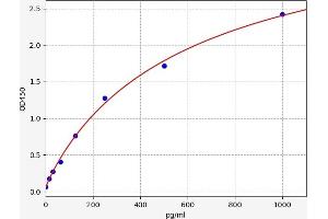 Typical standard curve