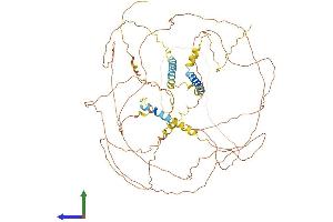 Protein Structure (PS) image for Triadin (TRDN) (AA 1-729) protein (His tag) (ABIN7555825)
