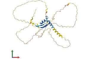 AlphaFold protein structure predicition of Human Recombinant FAM170A Protein, UniprotID A1A519