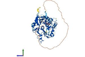 Protein Structure (PS) image for Adenosine Deaminase, tRNA-Specific 1 (ADAT1) (AA 1-499) protein (His tag) (ABIN7561504)