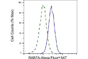 Validation of RAB7A knockdown using flow cytometry.
