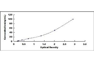 Typical standard curve (PRB1 ELISA 试剂盒)