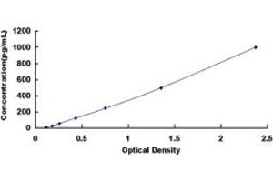 Typical standard curve (Renin ELISA 试剂盒)