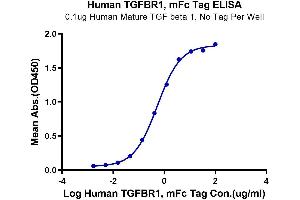 Immobilized Human Mature TGF beta 1 at 1 μg/mL (100 μL/Well). (TGFBR1 Protein (AA 34-125) (mFc-Avi Tag))