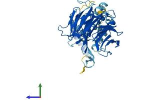 Protein Structure (PS) image for F-Box and WD Repeat Domain Containing 2 (FBXW2) (AA 1-422) protein (His tag) (ABIN7557578)