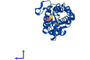 Protein Structure (PS) image for Haloacid Dehalogenase-Like Hydrolase Domain Containing 3 (HDHD3) (AA 1-251) protein (His tag) (ABIN7548249)