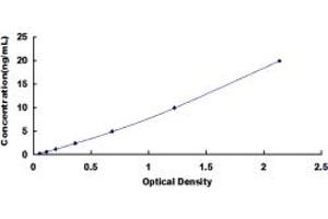 Typical standard curve (DPEP3 ELISA 试剂盒)